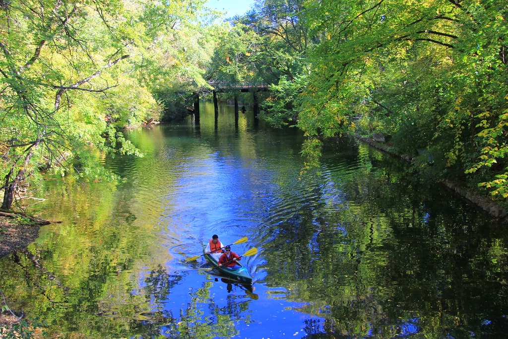 The wooded shoreline of Lake of the Isles in Minneapolis