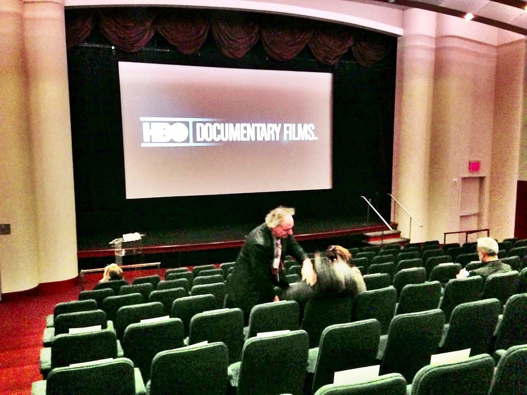 A cinema screening room with rows of seats facing a screen