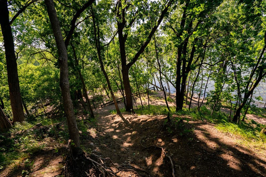 Cedar-Isles-Dean Joins the Season's Lakeside Gatherings