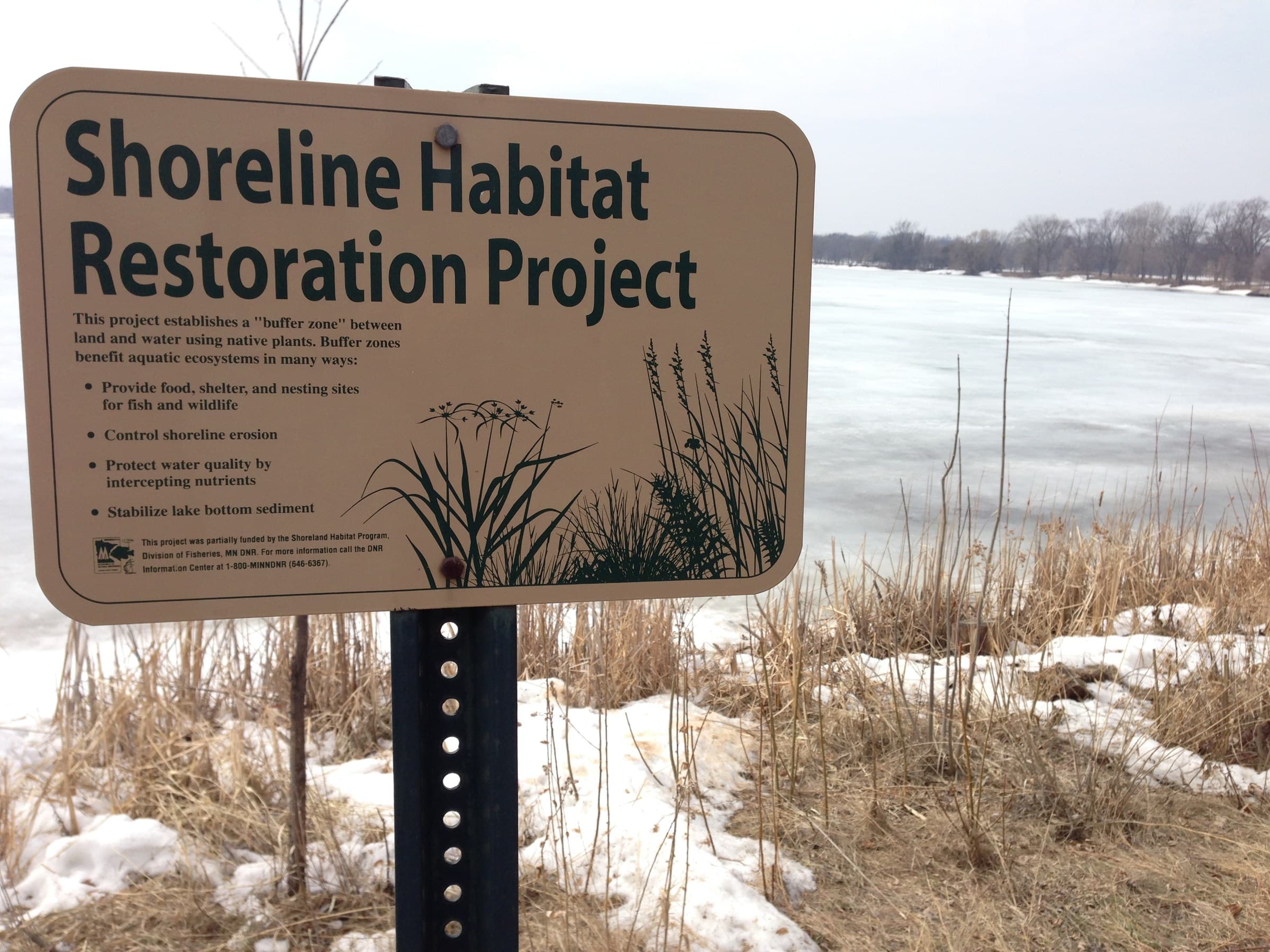 Shoreline restoration work along an urban lake