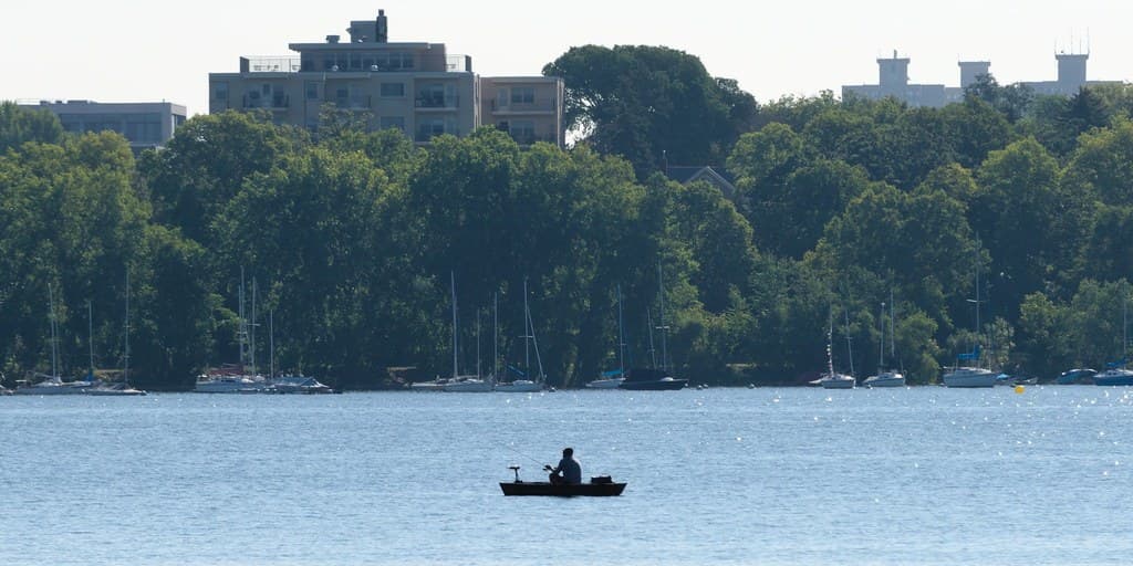An angler fishing from the shore of an urban lake