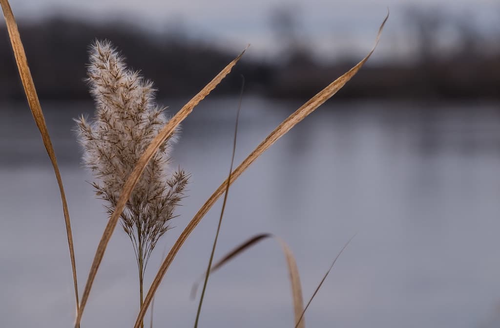 Lake of the Isles, Minneapolis, MN